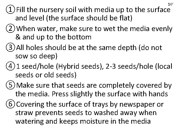 16’ ①Fill the nursery soil with media up to the surface and level (the