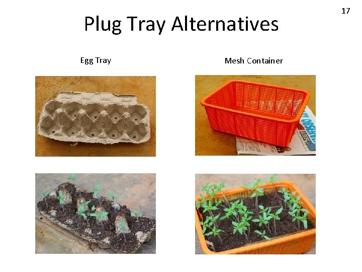 Plug Tray Alternatives Egg Tray Mesh Container 17 