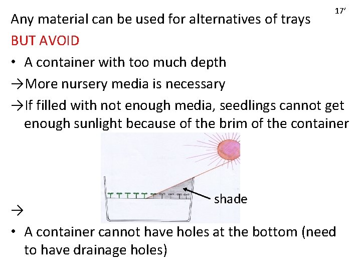17’ Any material can be used for alternatives of trays BUT AVOID • A