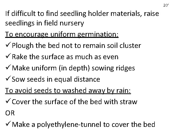 20’ If difficult to find seedling holder materials, raise seedlings in field nursery To