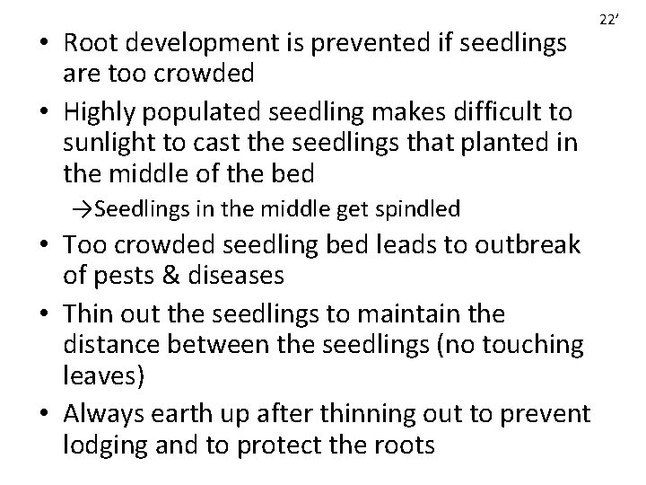  • Root development is prevented if seedlings are too crowded • Highly populated