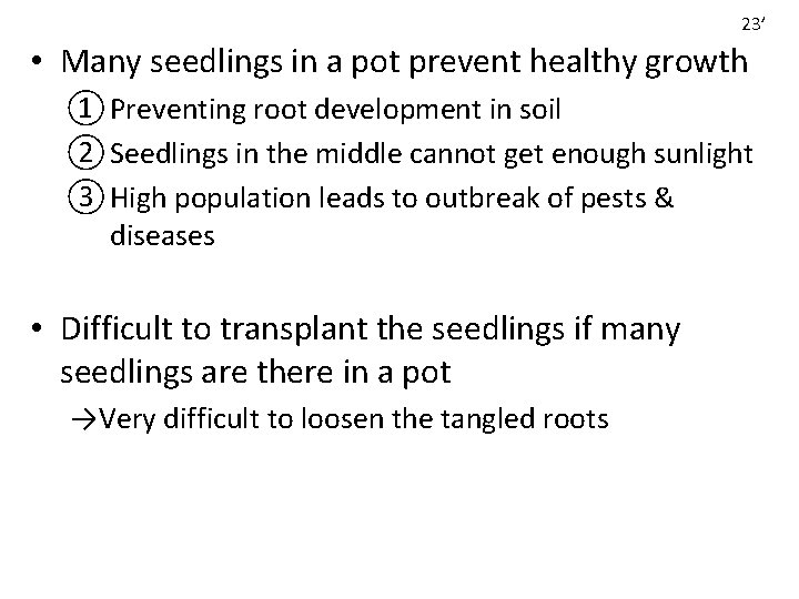 23’ • Many seedlings in a pot prevent healthy growth ① Preventing root development