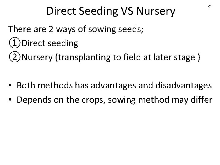 Direct Seeding VS Nursery 3’ There are 2 ways of sowing seeds; ①Direct seeding