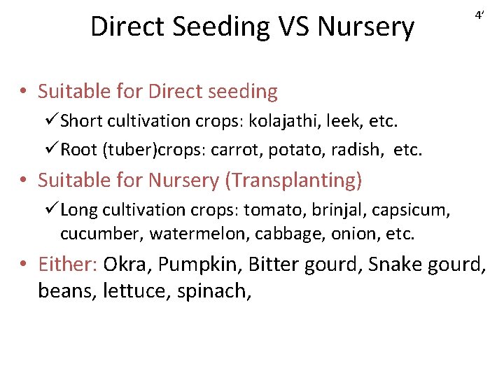 Direct Seeding VS Nursery 4’ • Suitable for Direct seeding üShort cultivation crops: kolajathi,