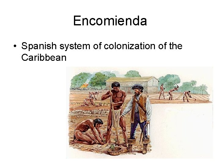 Encomienda • Spanish system of colonization of the Caribbean Encomienda • Spanish system of colonization of the Caribbean