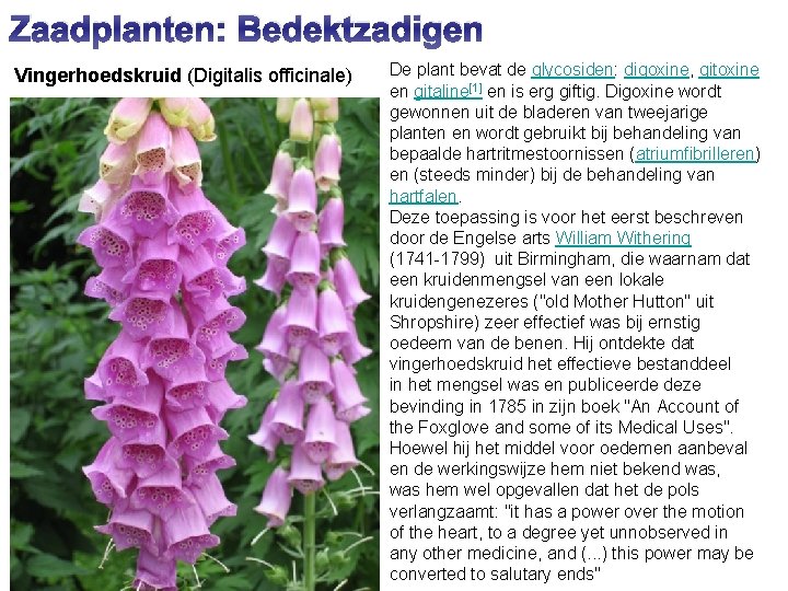 Zaadplanten: Bedektzadigen Vingerhoedskruid (Digitalis officinale) De plant bevat de glycosiden: digoxine, gitoxine en gitaline[1]