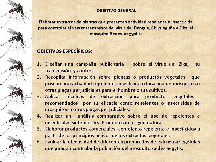 OBJETIVO GENERAL Elaborar extractos de plantas que presenten actividad repelente o insecticida para controlar