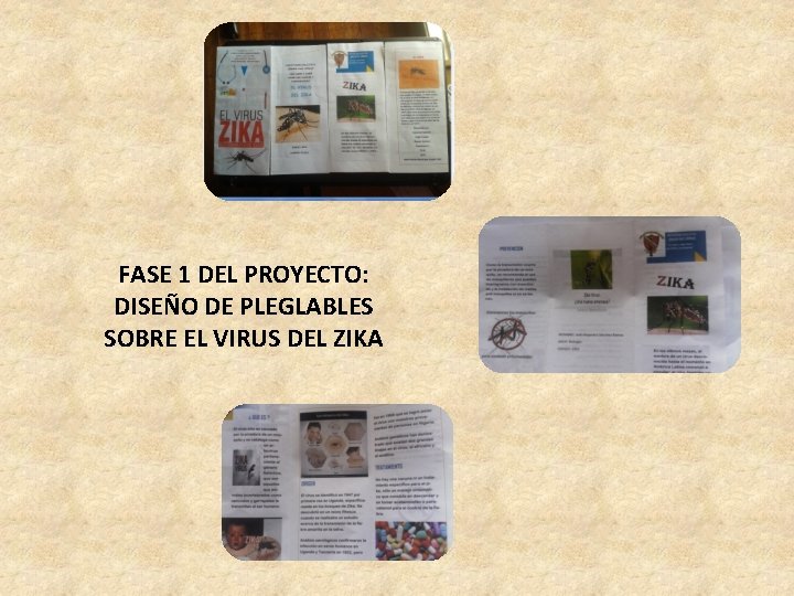 FASE 1 DEL PROYECTO: DISEÑO DE PLEGLABLES SOBRE EL VIRUS DEL ZIKA 