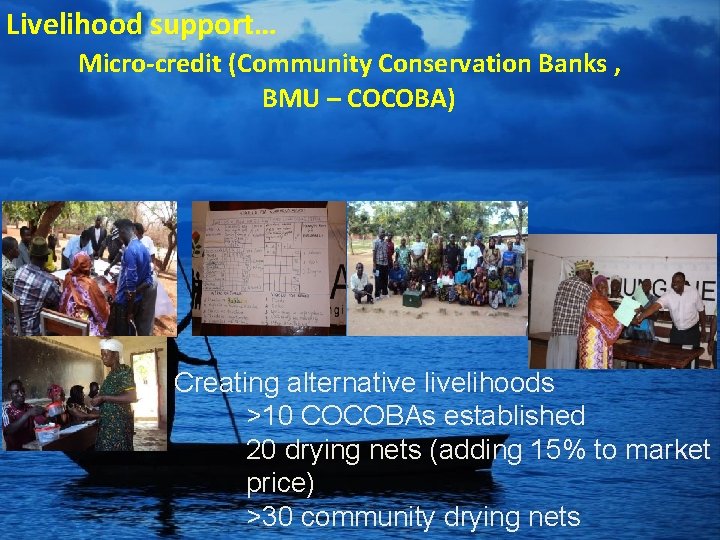 Livelihood support… Micro-credit (Community Conservation Banks , BMU – COCOBA) Creating alternative livelihoods >10