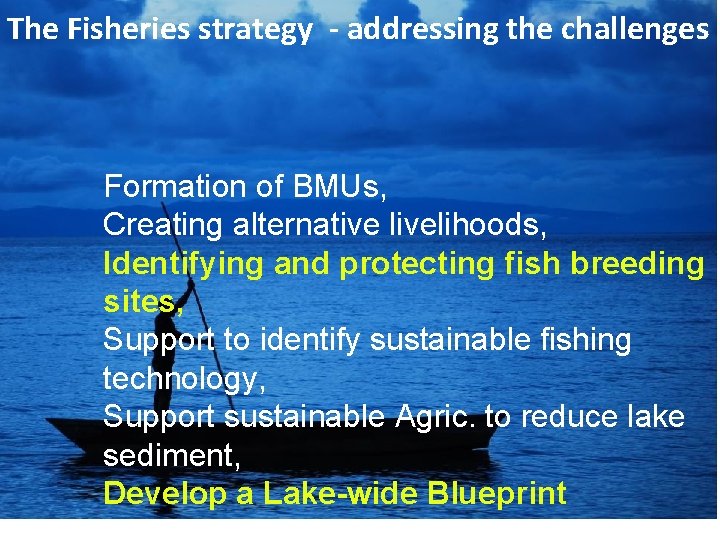 The Fisheries strategy - addressing the challenges Formation of BMUs, Creating alternative livelihoods, Identifying