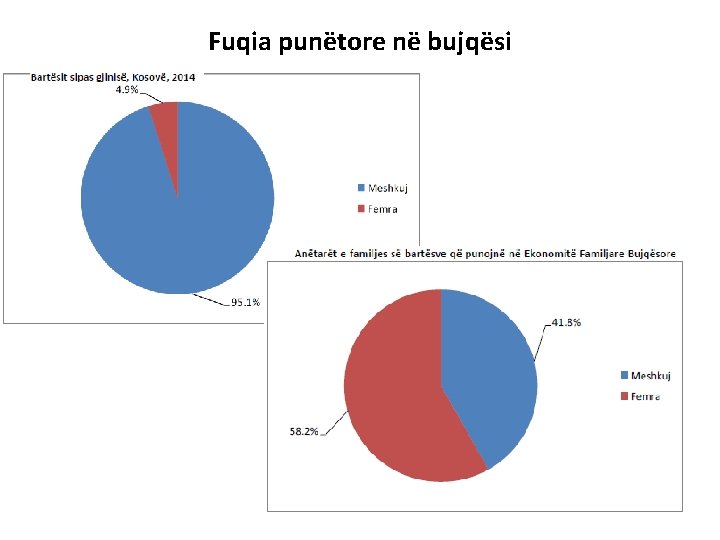 Fuqia punëtore në bujqësi 