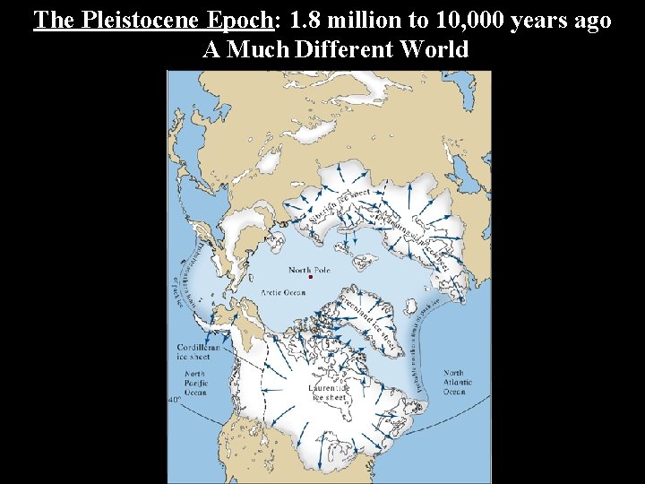 The Pleistocene Epoch: 1. 8 million to 10, 000 years ago A Much Different