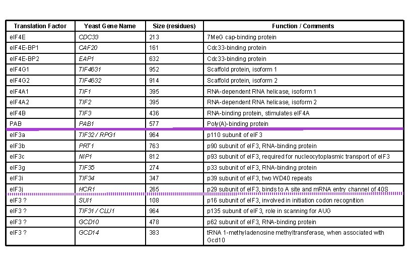 Translation Factor Yeast Gene Name Size (residues) Function / Comments e. IF 4 E