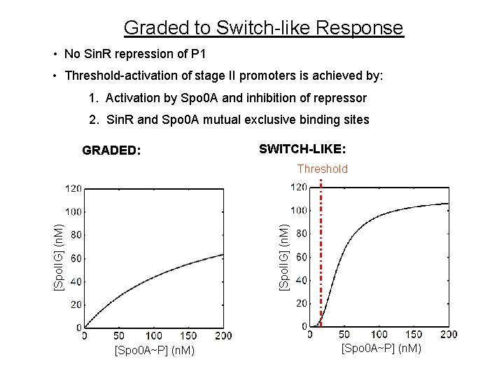 Graded to Switch-like Response • No Sin. R repression of P 1 • Threshold-activation Graded to Switch-like Response • No Sin. R repression of P 1 • Threshold-activation