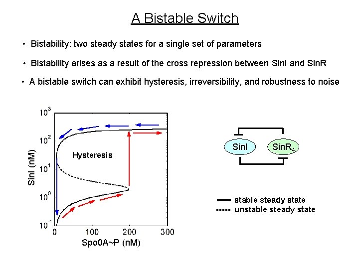 A Bistable Switch • Bistability: two steady states for a single set of parameters A Bistable Switch • Bistability: two steady states for a single set of parameters