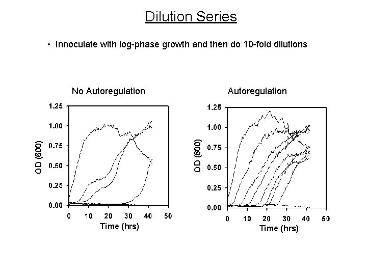 Dilution Series • Innoculate with log-phase growth and then do 10 -fold dilutions Autoregulation Dilution Series • Innoculate with log-phase growth and then do 10 -fold dilutions Autoregulation