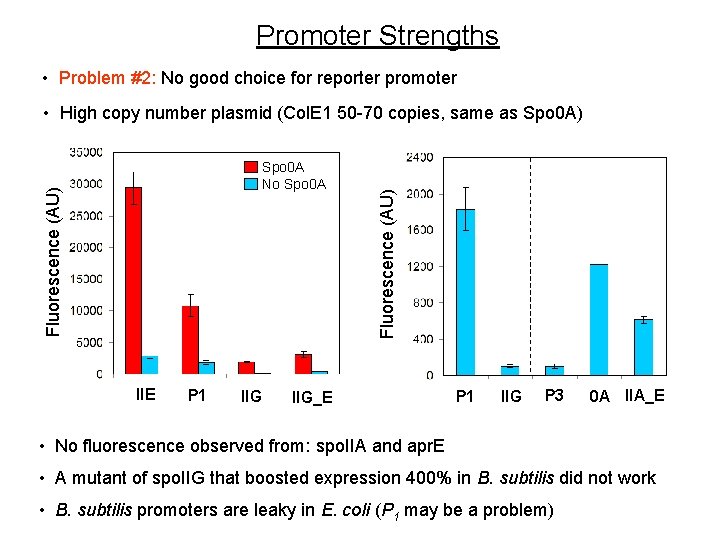 Promoter Strengths • Problem #2: No good choice for reporter promoter Fluorescence (AU) Spo Promoter Strengths • Problem #2: No good choice for reporter promoter Fluorescence (AU) Spo