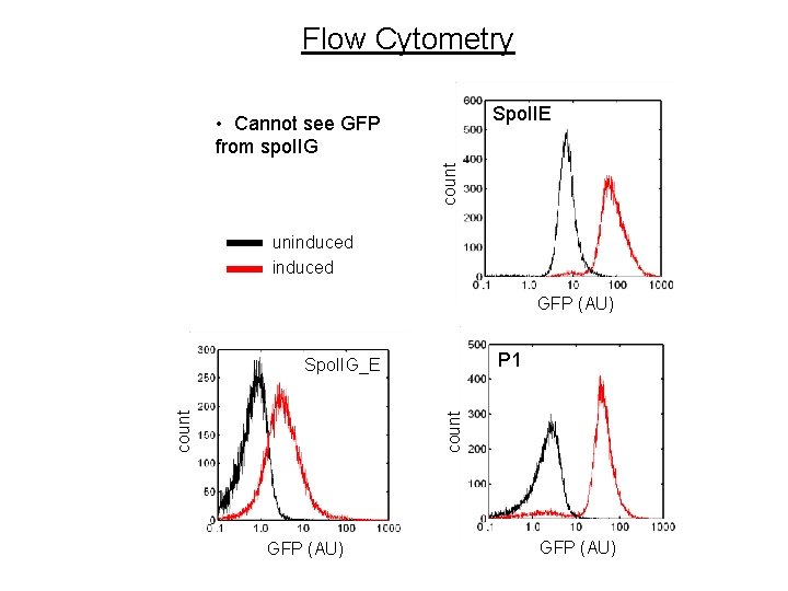 Flow Cytometry Spo. IIE count • Cannot see GFP from spo. IIG uninduced GFP Flow Cytometry Spo. IIE count • Cannot see GFP from spo. IIG uninduced GFP