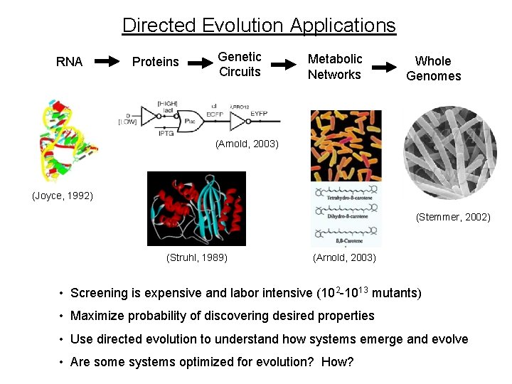 Directed Evolution Applications RNA Proteins Genetic Circuits Metabolic Networks Whole Genomes (Arnold, 2003) (Joyce, Directed Evolution Applications RNA Proteins Genetic Circuits Metabolic Networks Whole Genomes (Arnold, 2003) (Joyce,