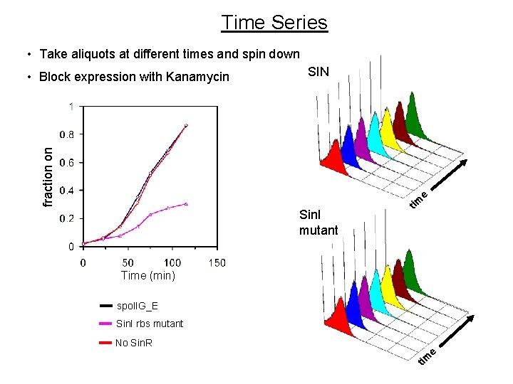Time Series • Take aliquots at different times and spin down SIN fraction on Time Series • Take aliquots at different times and spin down SIN fraction on