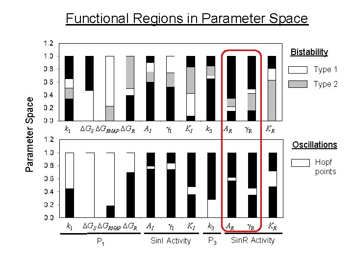 Functional Regions in Parameter Space Bistability Type 1 Parameter Space Type 2 k 1 Functional Regions in Parameter Space Bistability Type 1 Parameter Space Type 2 k 1