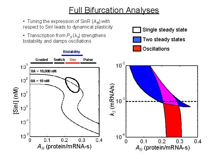 Full Bifurcation Analyses • Tuning the expression of Sin. R (AR) with respect to Full Bifurcation Analyses • Tuning the expression of Sin. R (AR) with respect to