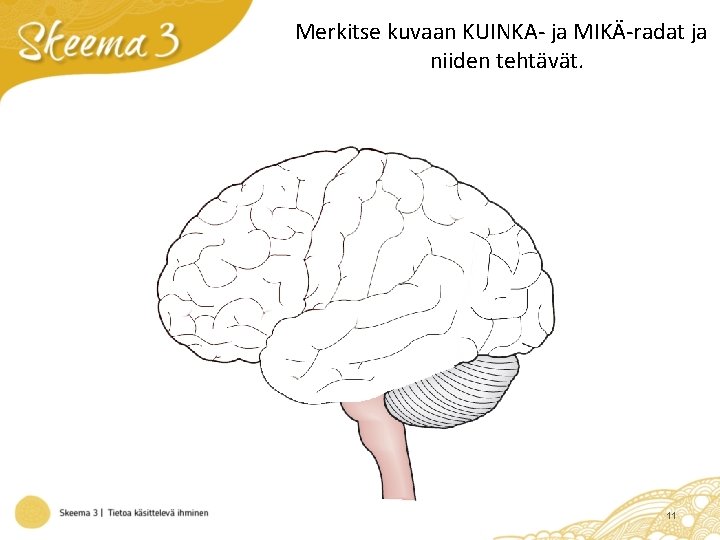 Merkitse kuvaan KUINKA- ja MIKÄ-radat ja niiden tehtävät. 11 
