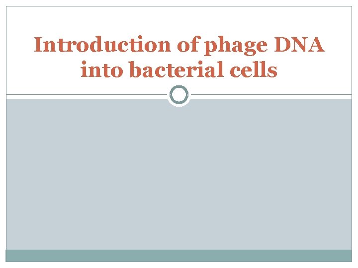 Introduction of phage DNA into bacterial cells 