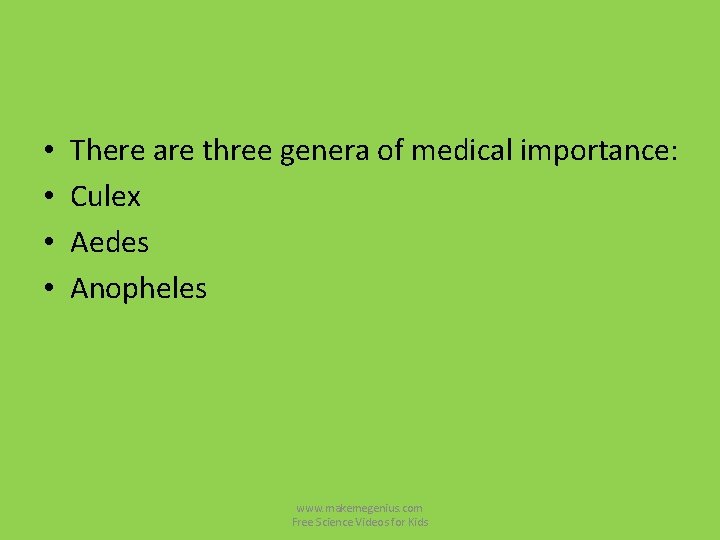 • • There are three genera of medical importance: Culex Aedes Anopheles www. • • There are three genera of medical importance: Culex Aedes Anopheles www.