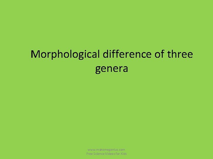 Morphological difference of three genera www. makemegenius. com Free Science Videos for Kids Morphological difference of three genera www. makemegenius. com Free Science Videos for Kids