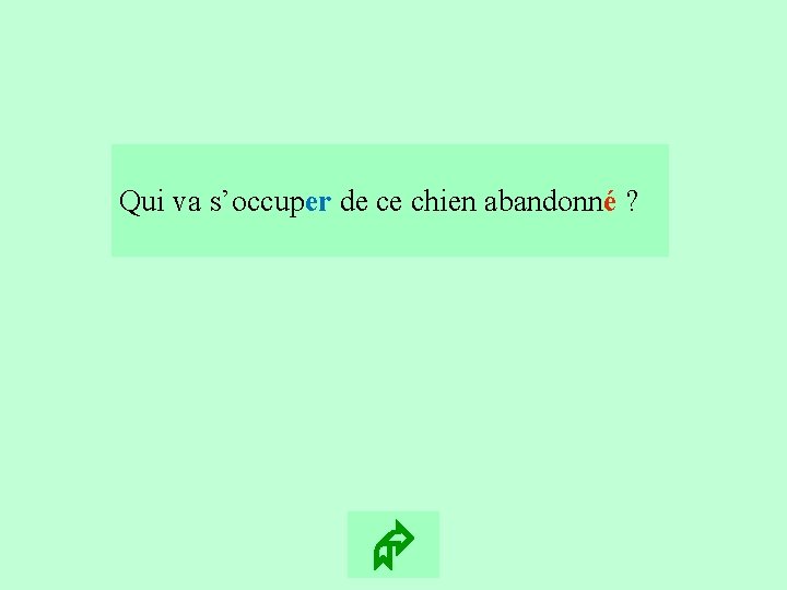 13 Qui va s’occuper de ce chien abandonné ? 