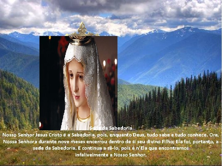 Sede da Sabedoria Nosso Senhor Jesus Cristo é a Sabedoria, pois, enquanto Deus, tudo Sede da Sabedoria Nosso Senhor Jesus Cristo é a Sabedoria, pois, enquanto Deus, tudo