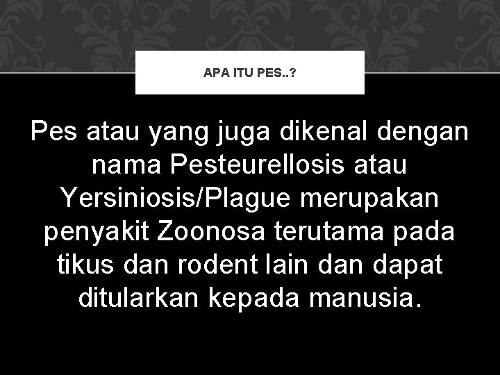 APA ITU PES. . ? Pes atau yang juga dikenal dengan nama Pesteurellosis atau