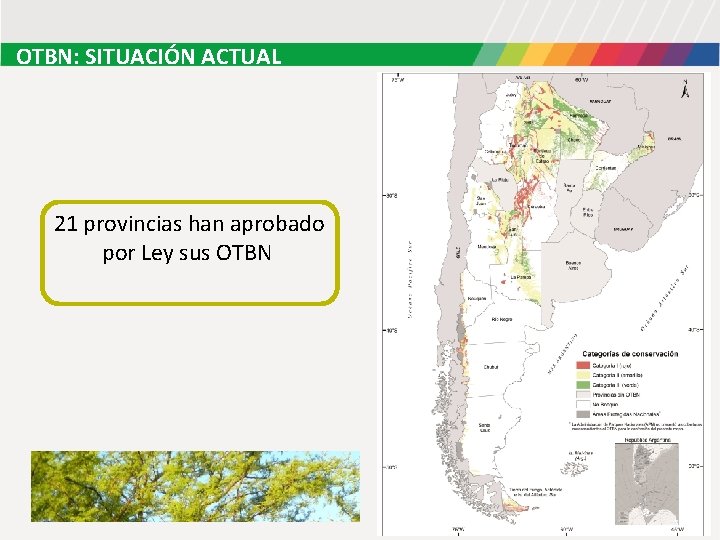 OTBN: SITUACIÓN ACTUAL 21 provincias han aprobado por Ley sus OTBN OTBN: SITUACIÓN ACTUAL 21 provincias han aprobado por Ley sus OTBN