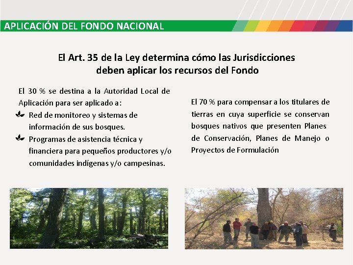 APLICACIÓN DEL FONDO NACIONAL El Art. 35 de la Ley determina cómo las Jurisdicciones APLICACIÓN DEL FONDO NACIONAL El Art. 35 de la Ley determina cómo las Jurisdicciones