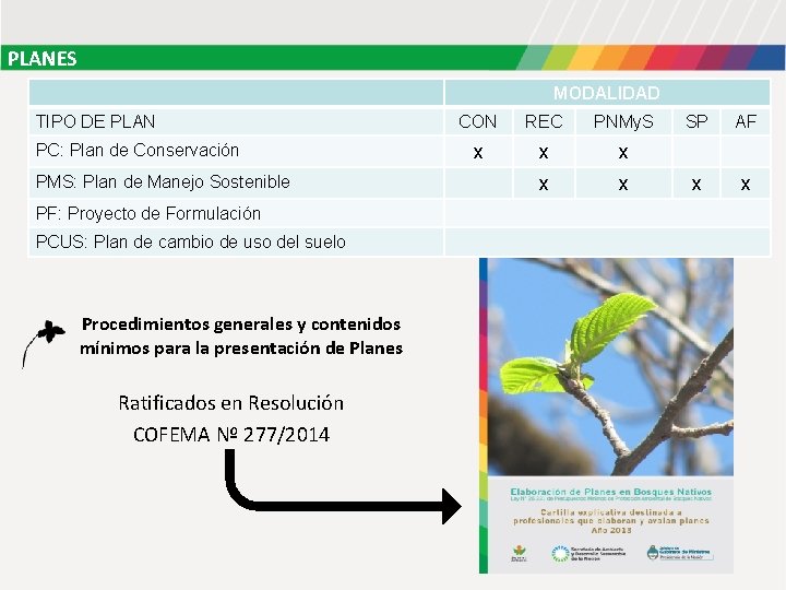 PLANES MODALIDAD TIPO DE PLAN PC: Plan de Conservación PMS: Plan de Manejo Sostenible PLANES MODALIDAD TIPO DE PLAN PC: Plan de Conservación PMS: Plan de Manejo Sostenible