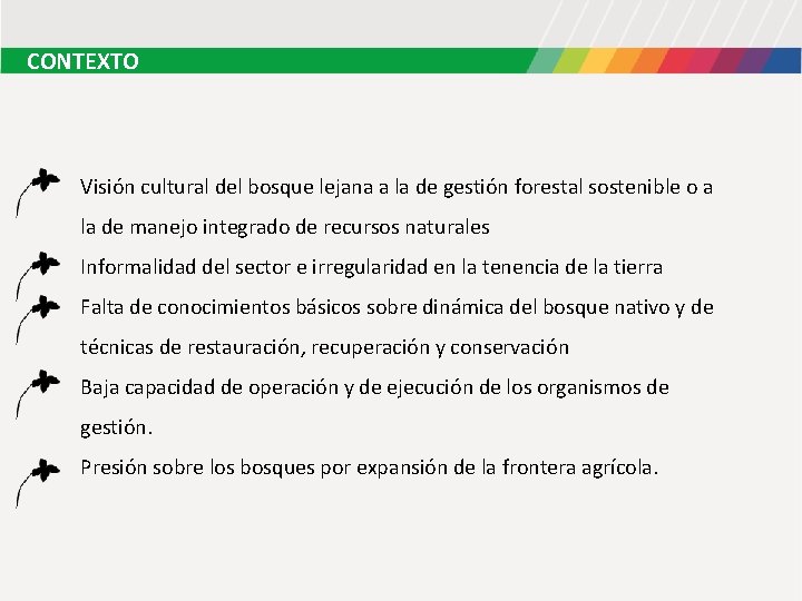 CONTEXTO Visión cultural del bosque lejana a la de gestión forestal sostenible o a CONTEXTO Visión cultural del bosque lejana a la de gestión forestal sostenible o a