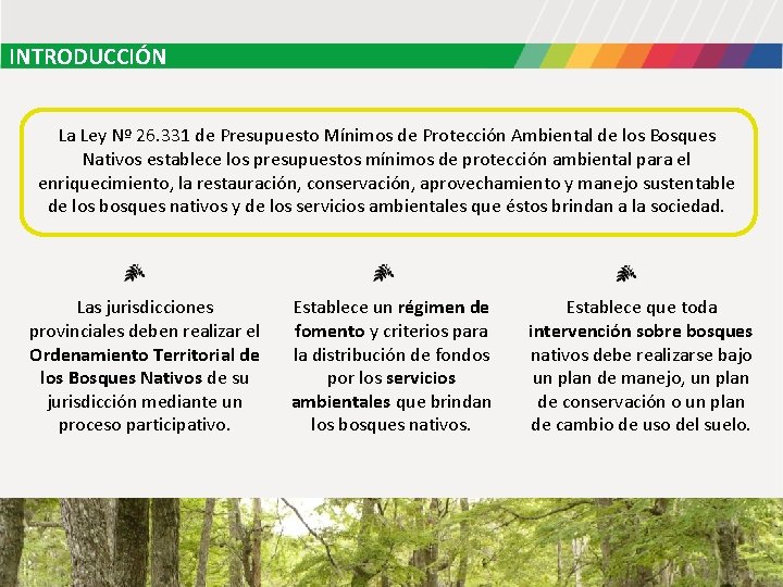 INTRODUCCIÓN La Ley Nº 26. 331 de Presupuesto Mínimos de Protección Ambiental de los INTRODUCCIÓN La Ley Nº 26. 331 de Presupuesto Mínimos de Protección Ambiental de los