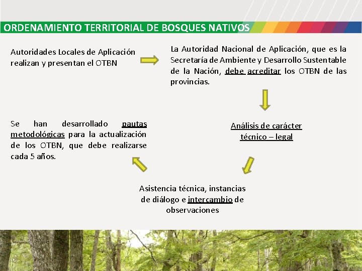 ORDENAMIENTO TERRITORIAL DE BOSQUES NATIVOS La Autoridad Nacional de Aplicación, que es la Secretaría ORDENAMIENTO TERRITORIAL DE BOSQUES NATIVOS La Autoridad Nacional de Aplicación, que es la Secretaría