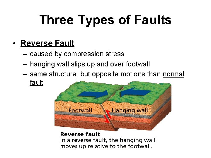 Three Types of Faults • Reverse Fault – caused by compression stress – hanging