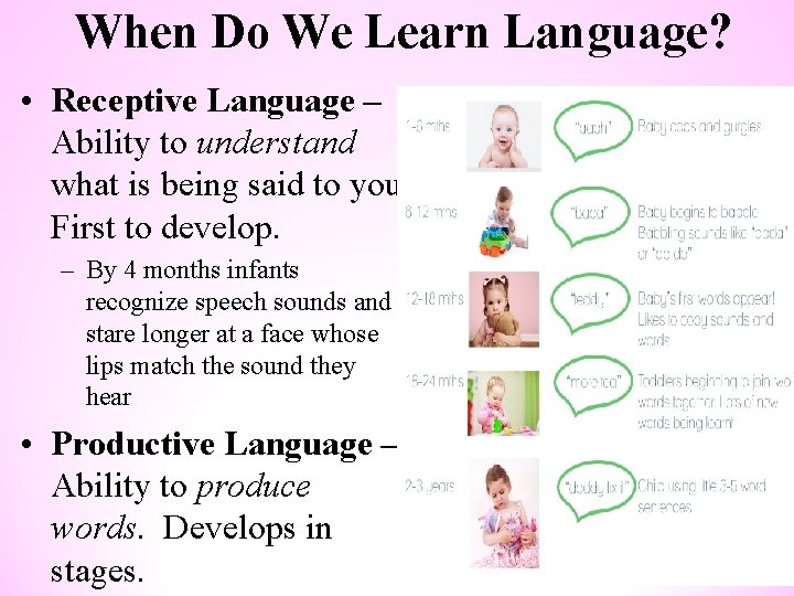 When Do We Learn Language? • Receptive Language – Ability to understand what is