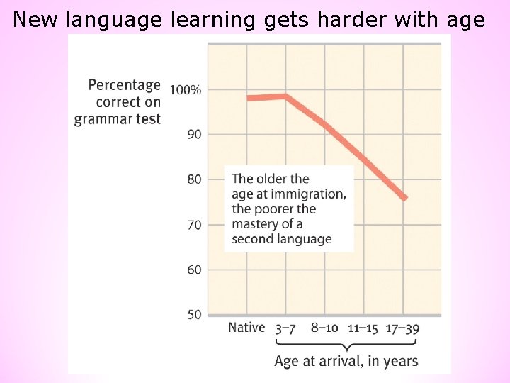 New language learning gets harder with age 