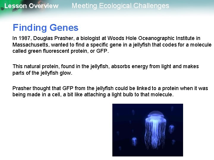 Lesson Overview Meeting Ecological Challenges Finding Genes In 1987, Douglas Prasher, a biologist at