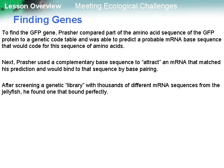 Lesson Overview Meeting Ecological Challenges Finding Genes To find the GFP gene, Prasher compared