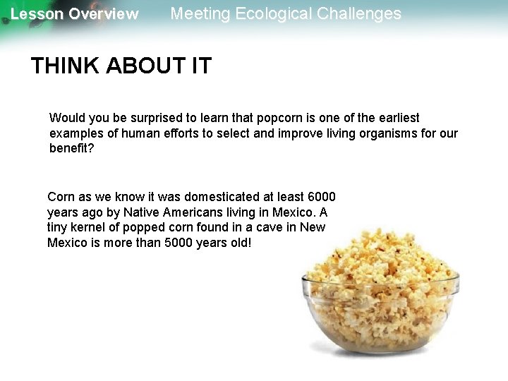 Lesson Overview Meeting Ecological Challenges THINK ABOUT IT Would you be surprised to learn