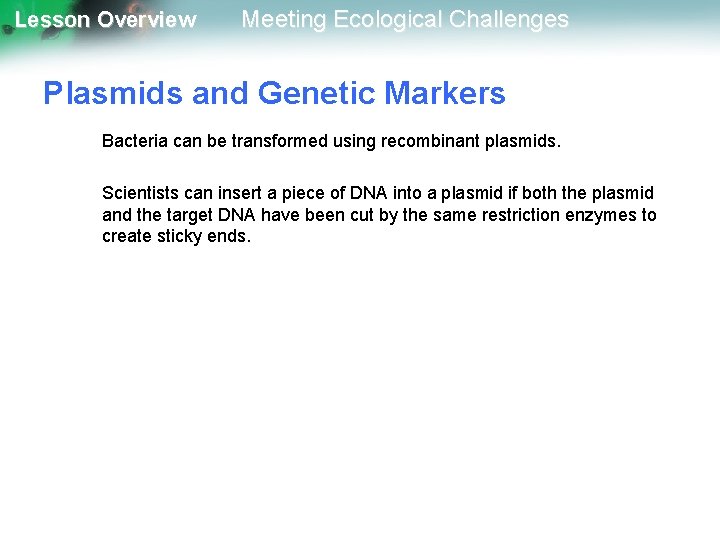 Lesson Overview Meeting Ecological Challenges Plasmids and Genetic Markers Bacteria can be transformed using