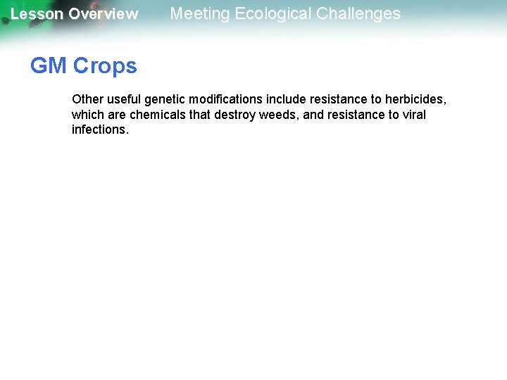 Lesson Overview Meeting Ecological Challenges GM Crops Other useful genetic modifications include resistance to