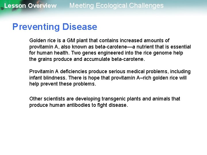 Lesson Overview Meeting Ecological Challenges Preventing Disease Golden rice is a GM plant that
