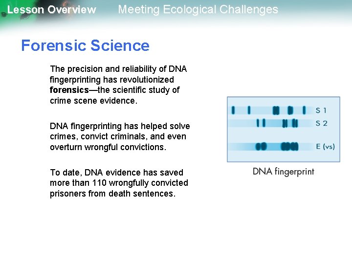 Lesson Overview Meeting Ecological Challenges Forensic Science The precision and reliability of DNA fingerprinting