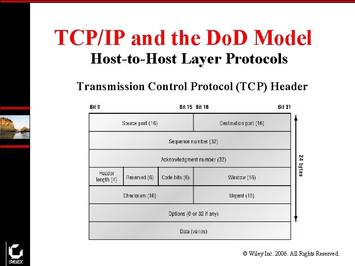 TCP/IP and the Do. D Model Host-to-Host Layer Protocols Transmission Control Protocol (TCP) Header
